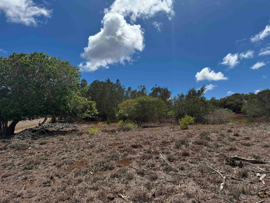 0 Kaana St unit 499, Maunaloa, HI 96770 - photo 1