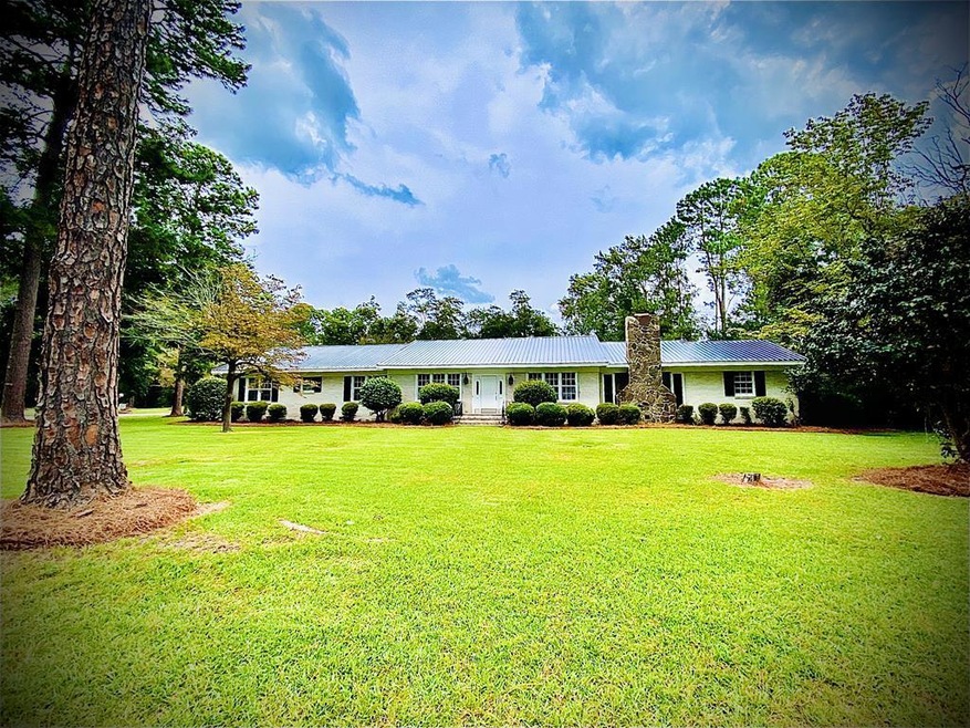 Main View