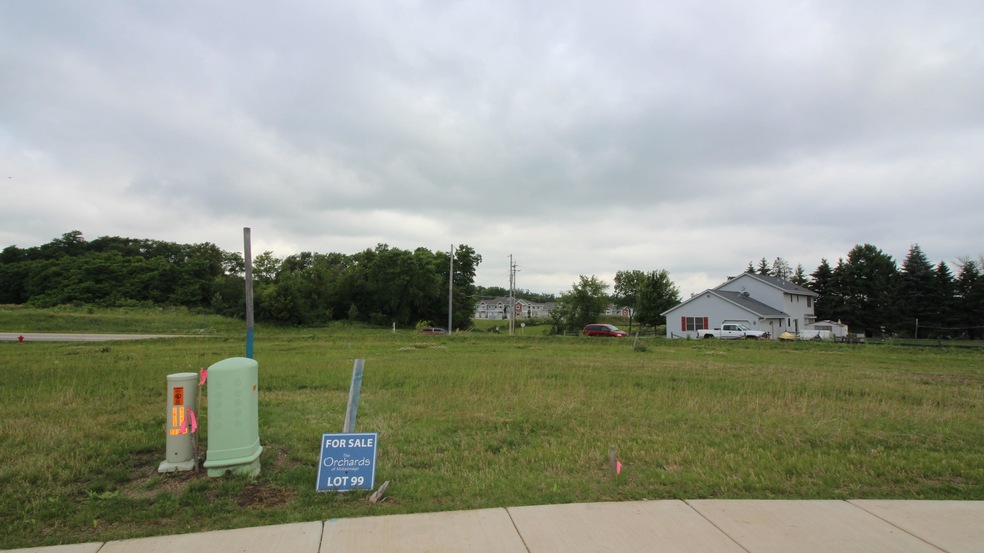 Lot 99