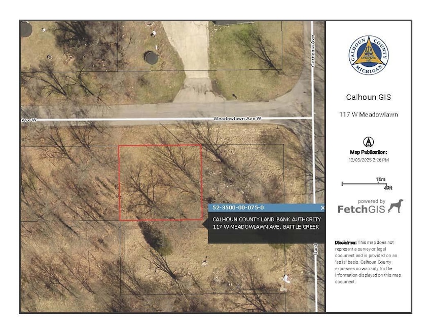 117 W Meadowlawn Ave, Battle Creek, MI 49037 - photo 1