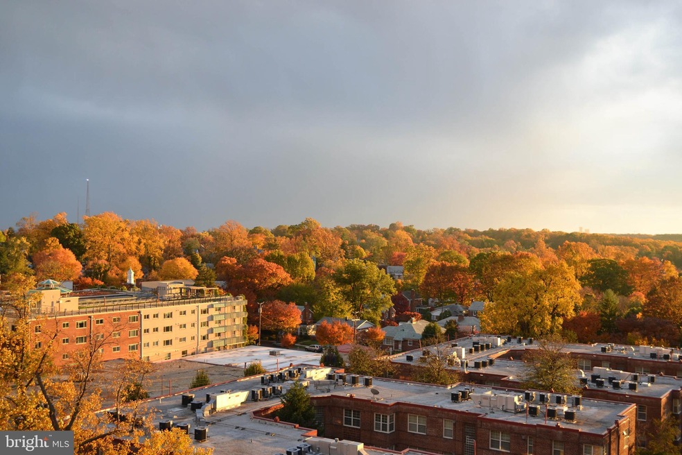 Mica Condominiums unit 1001, Silver Spring, MD 20910 - photo 1