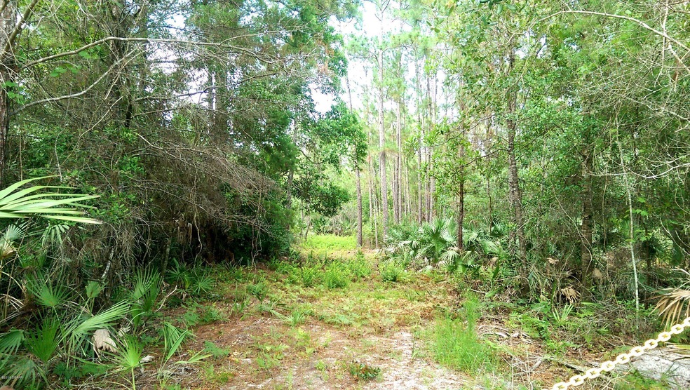 Cleared Pathway