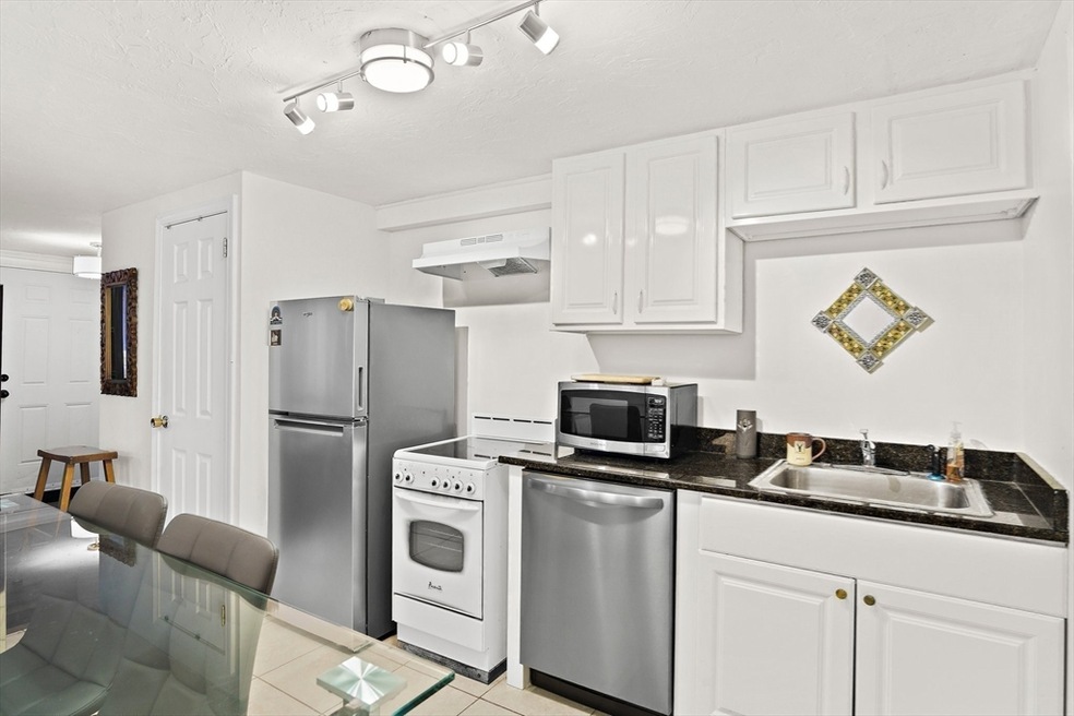 243 Lake St unit 1, Waltham, MA 02451 - photo 1