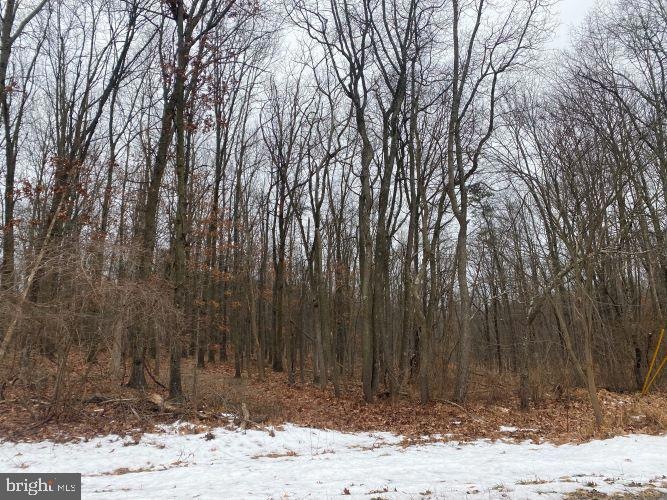 0 Stoneybreak Rd unit PAFU2001094, Warfordsburg, PA 17267 - photo 1