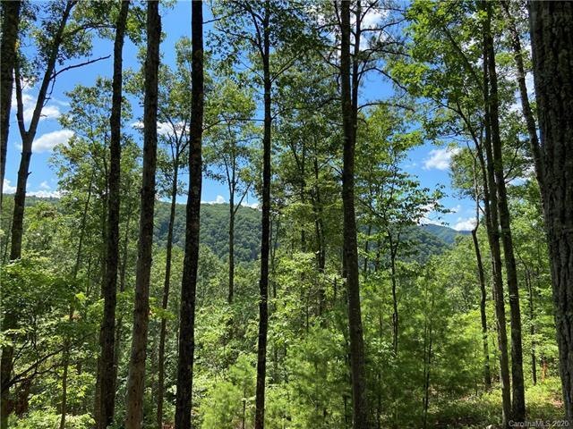 Homesite 35 sits high above the French Broad River