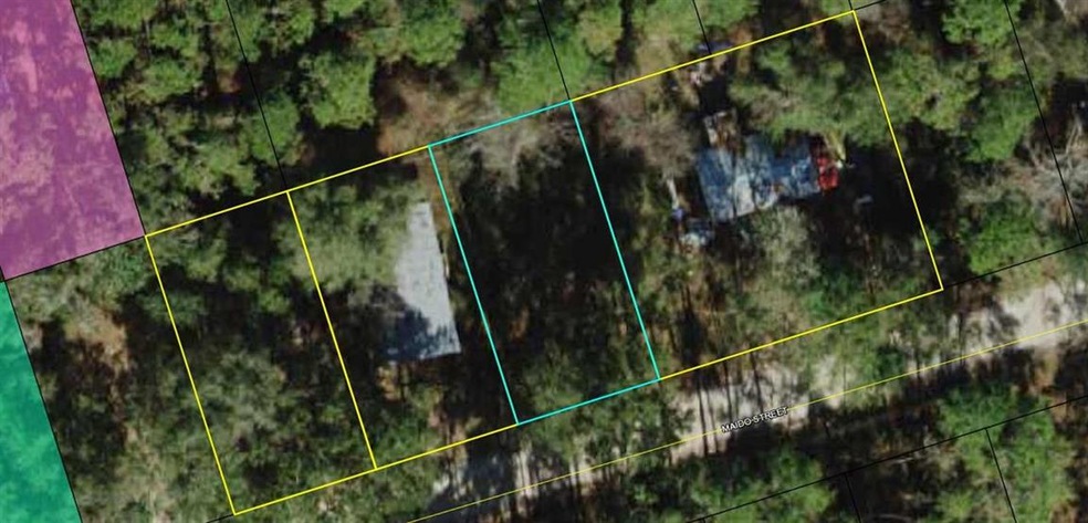 74 Maido St, Crawfordville, FL 32327 - photo 1