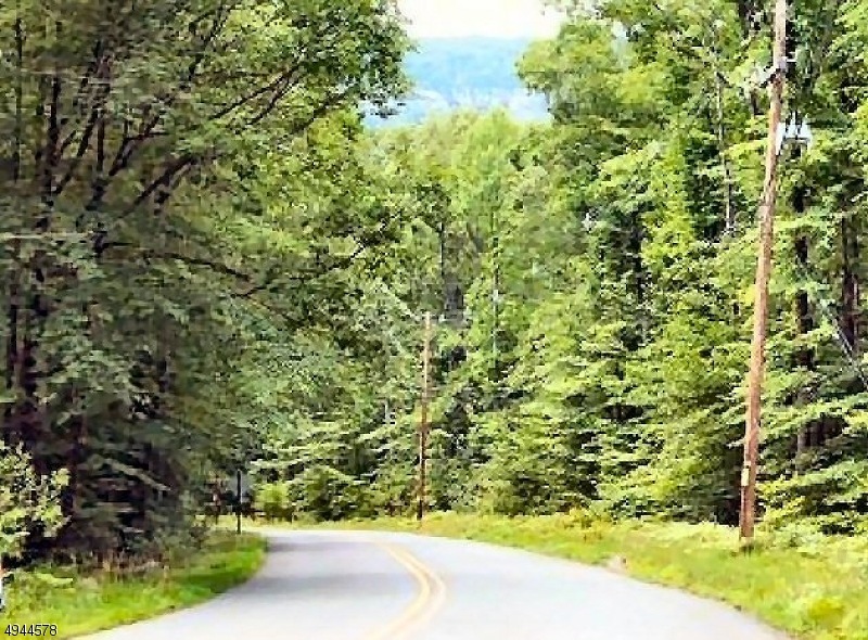 83 Mount Vernon Rd, Blairstown, NJ 07825 - photo 1