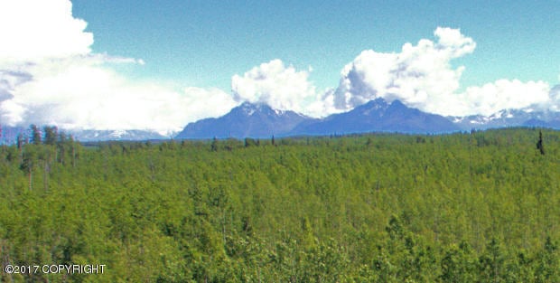 2940 S Knollwood Dr, Big Lake, AK 99654 - photo 1