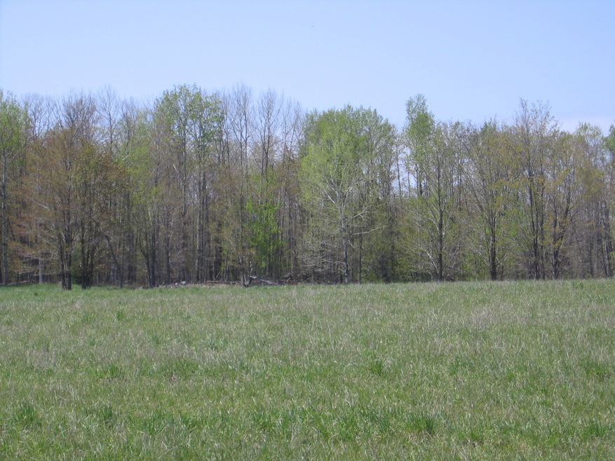 Property View 7