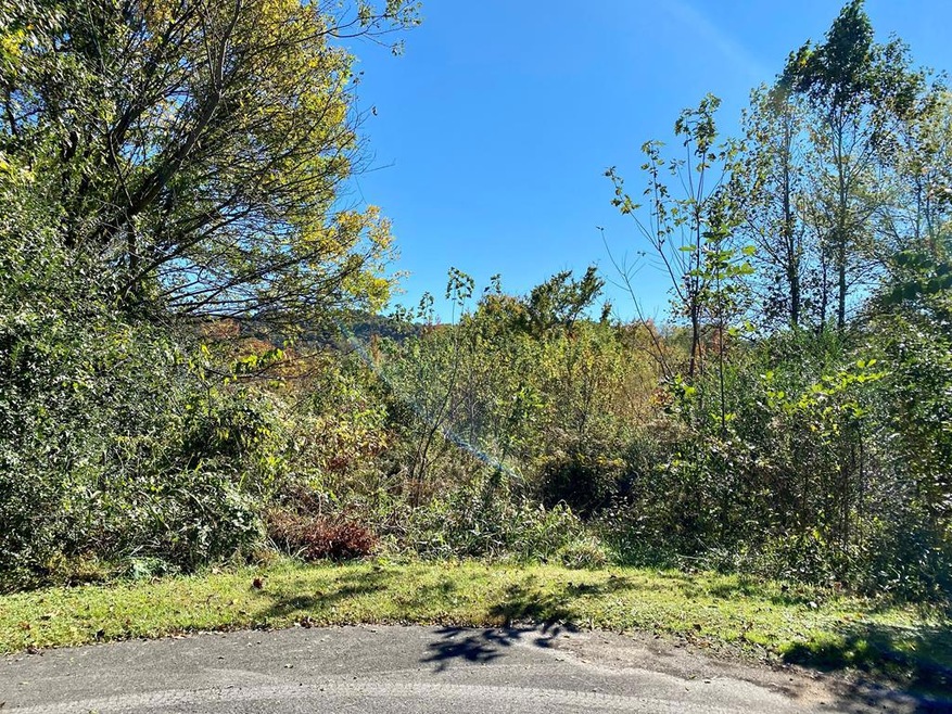 4318 Clayton Dr, Cookeville, TN 38506 - photo 1