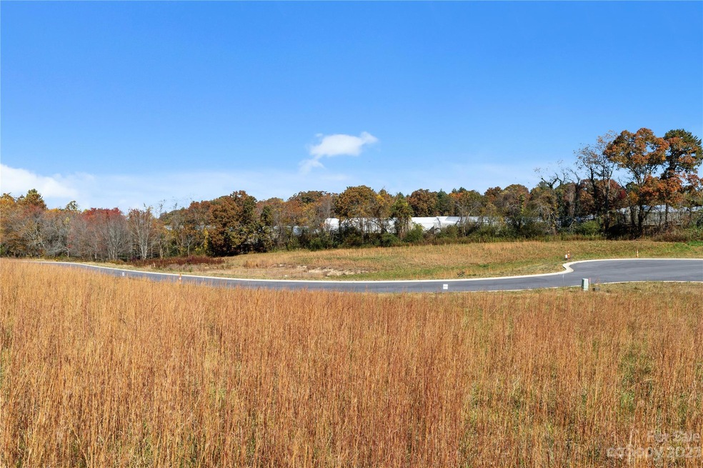 121 Scott Meadows Dr, Asheville, NC 28806 - photo 1