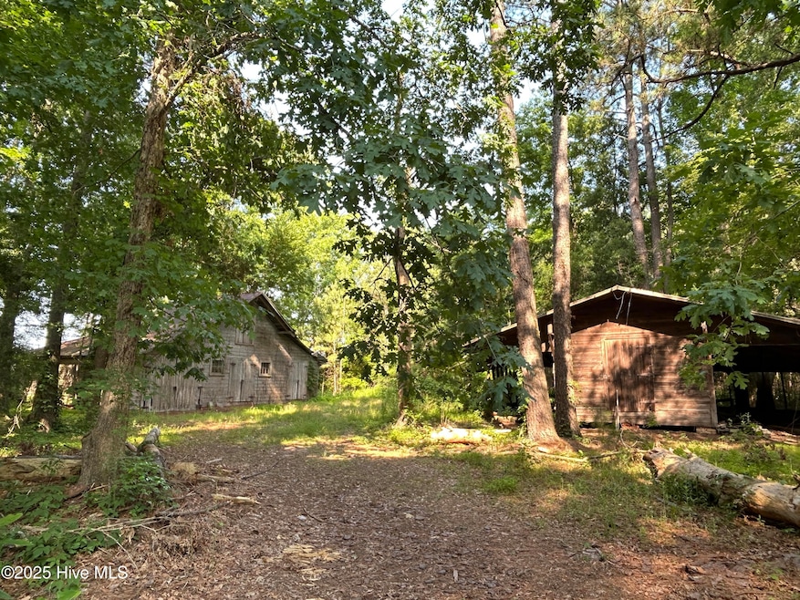 Tbd Colville St, Rowland, NC 28383 - photo 1