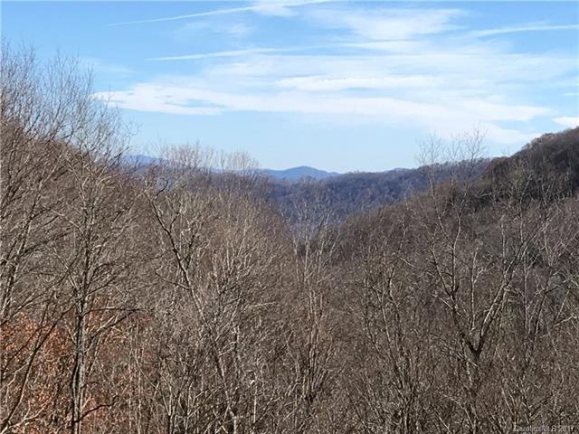 563 Bee Tree Ln unit 42, Mars Hill, NC 28754 - photo 1