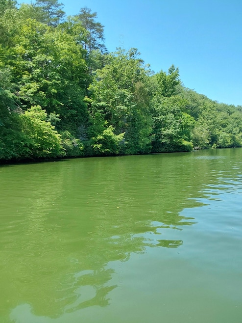 River
