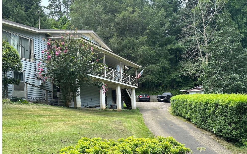 Main View