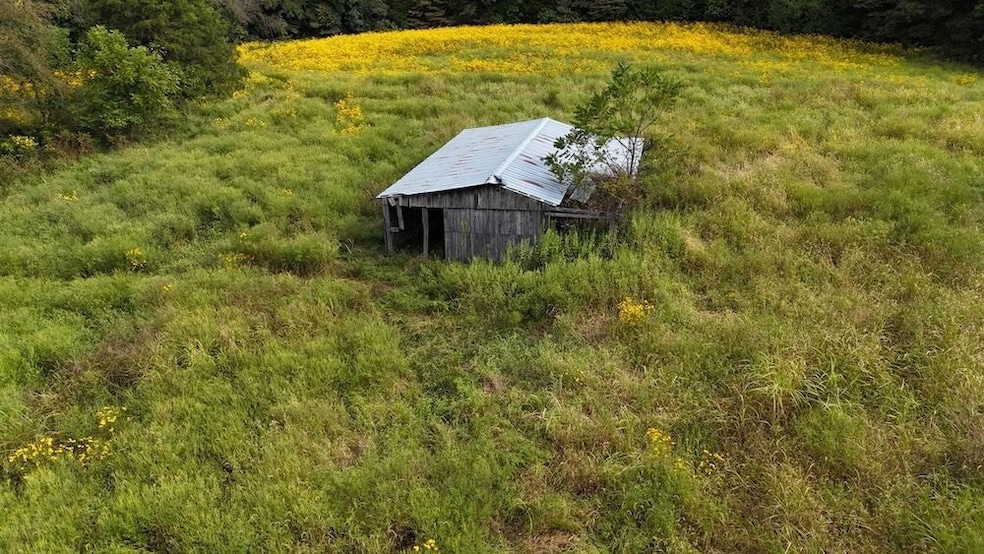 277 Wheeler Rd unit LotWP001, Magnolia, KY 42757 - photo 1