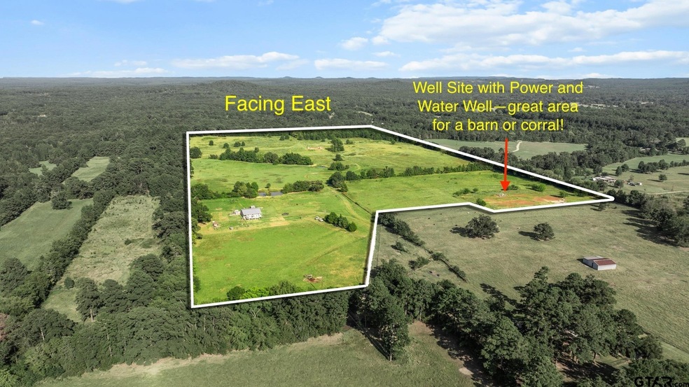 8800 Ginger Rd, Gilmer, TX 75644 - photo 1