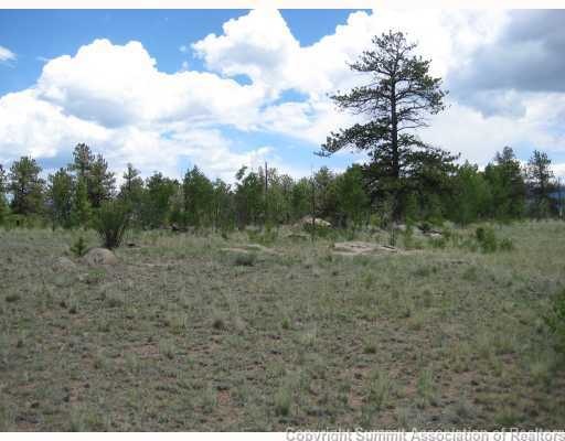 364 Yellowstone Rd, Hartsel, CO 80449 - photo 1