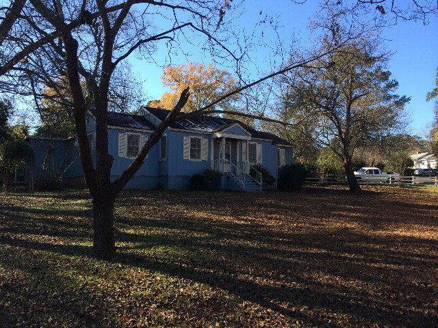 Main View