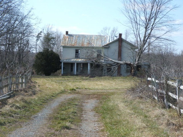 Main View