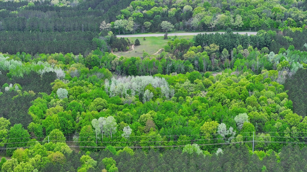 V/L W 1 Mile Rd, White Cloud, MI 49349 - photo 1
