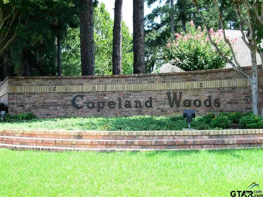 5620 Cedar Hill Cir, Tyler, TX 75703 - photo 1