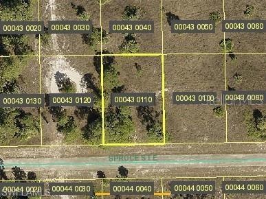 1243 Spruce St, Lehigh Acres, FL 33974 - photo 1