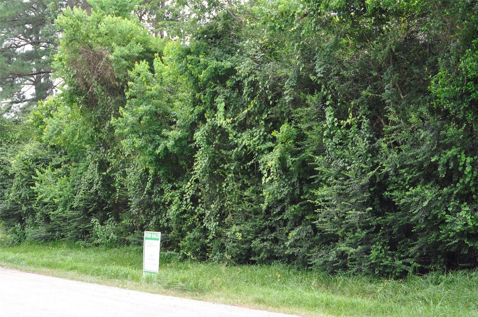 0.2 Foster St St, Tomball, TX 77375 - photo 1