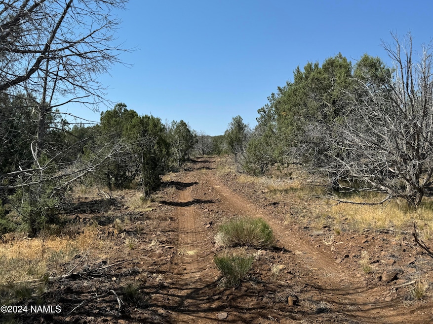 024 Parcel 205-20-024 Pineveta Rd, Ash Fork, AZ 86320 - photo 1