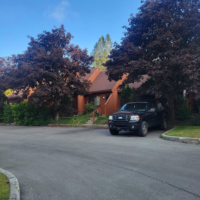 20 Pendletonheim Cir, Davis, WV 26260 - photo 1