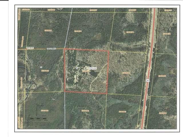 ON Tappa Rd, Deerbrook, WI 54424 - photo 1