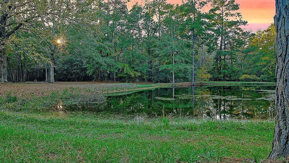 428 Roy Christie Rd, Lufkin, TX 75904 - photo 1