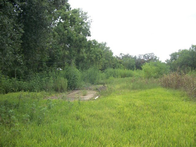 4891 County Road 652, Brazoria, TX 77422 - photo 1