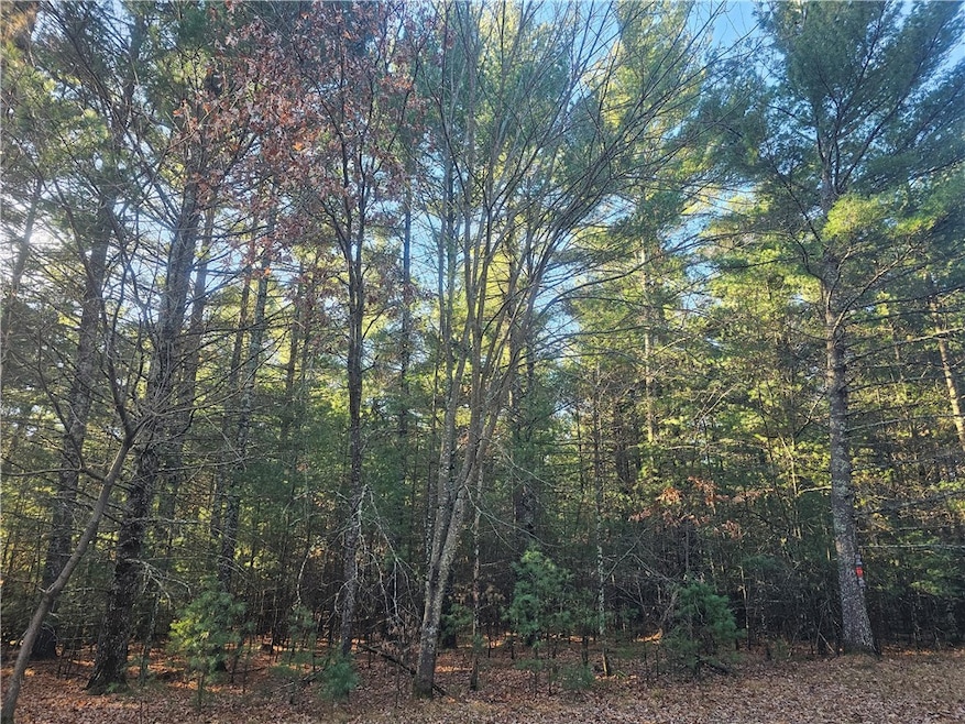 XXX E Harmon Ave, Grantsburg, WI 54840 - photo 1