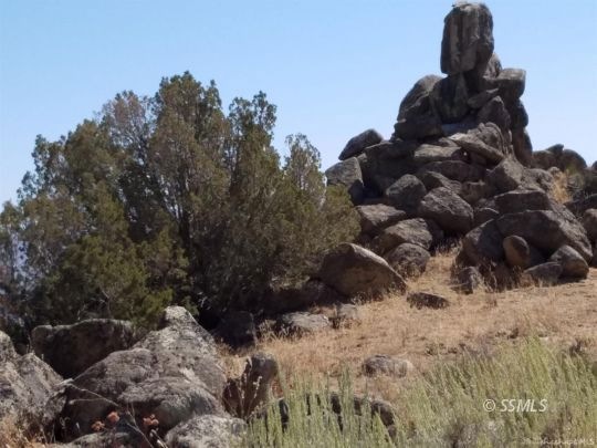 0 Big Springs unit 2605463, Caliente, CA 93518 - photo 1