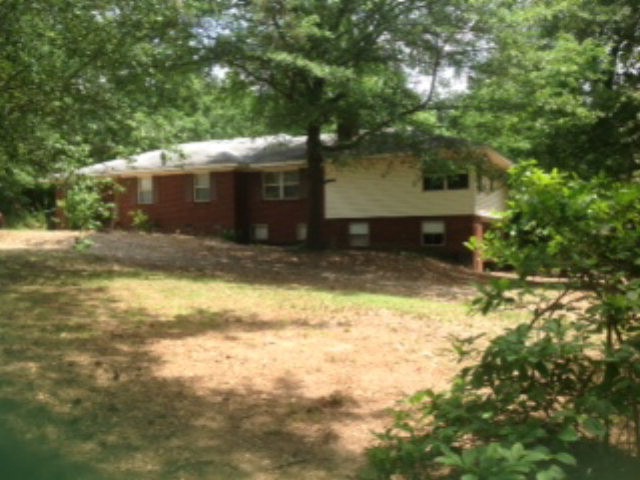 Main View