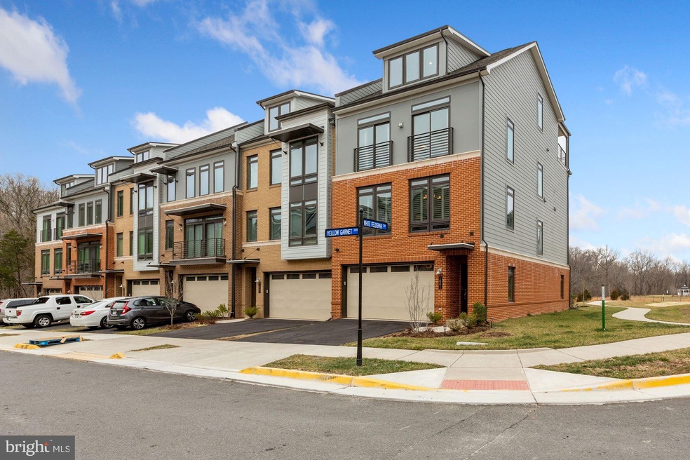 1801 Yellow Garnet Terrace SE, Leesburg, VA 20175 - photo 1