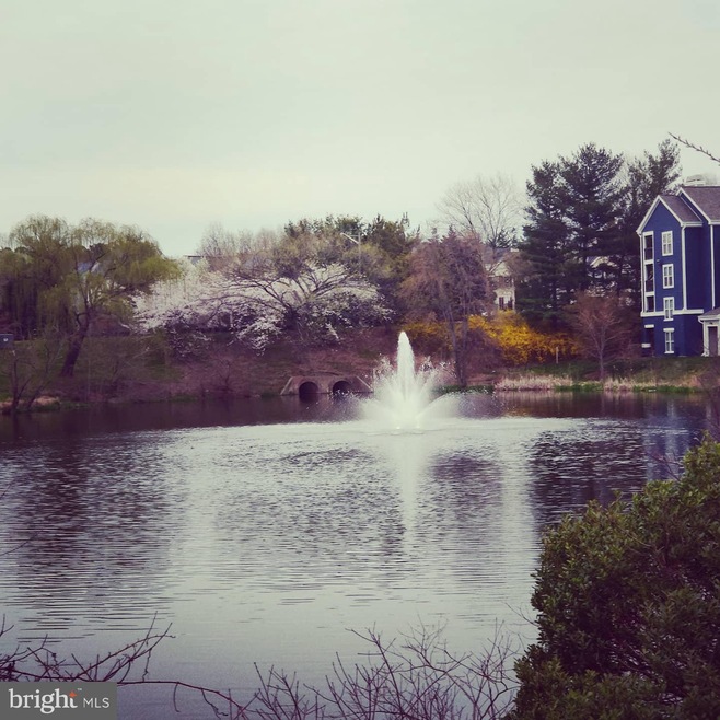 14320 Climbing Rose Way unit 201, Centreville, VA 20121 - photo 1