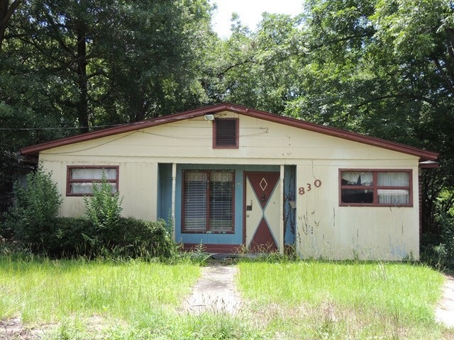 Primary Photo