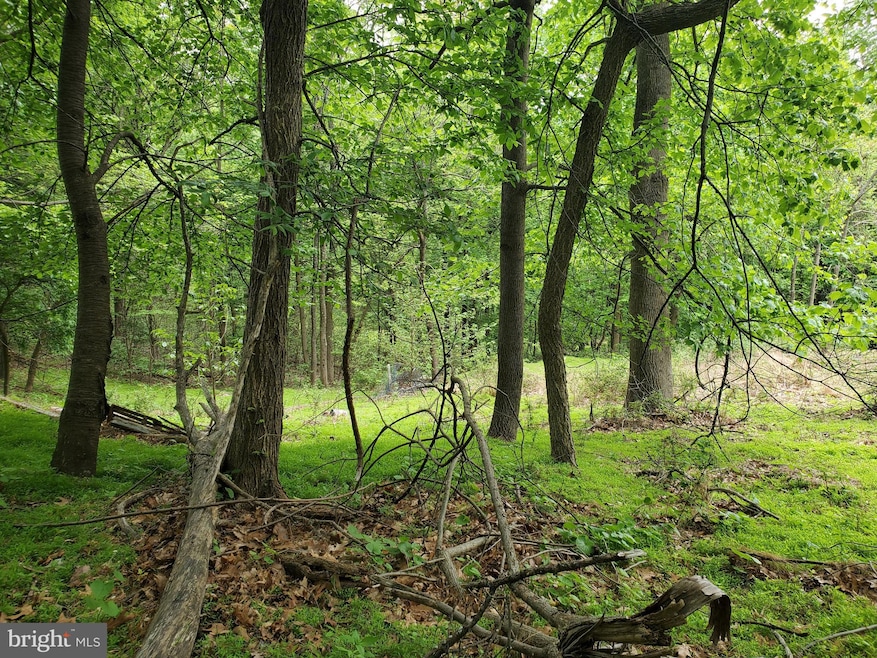 1344 Hoffmaster Rd, Knoxville, MD 21758 - photo 1