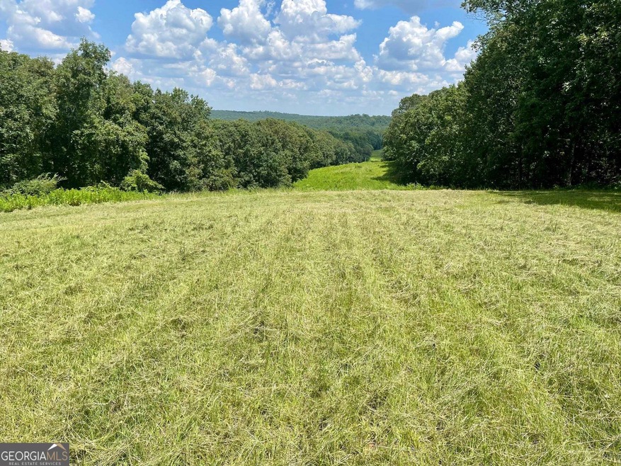 0 Dressage Ridge NE unit 20137900, Conyers, GA 30013 - photo 1