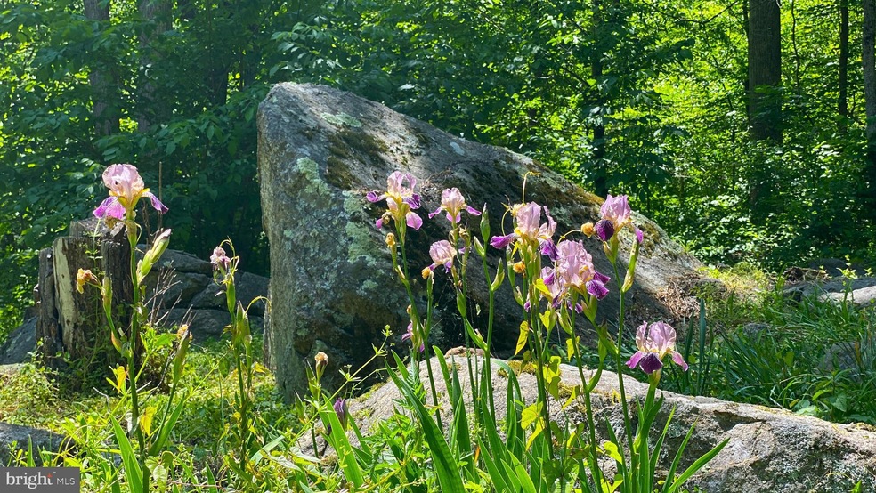 0 Old Hollow Rd unit VARP2001096, Sperryville, VA 22740 - photo 1