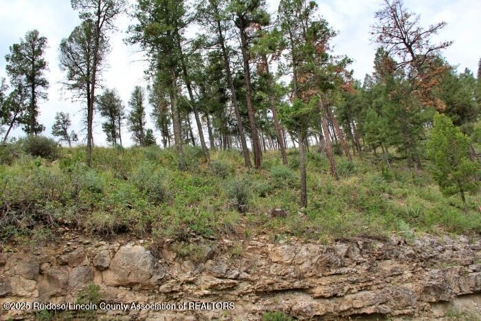 131 Worcester Dr, Ruidoso, NM 88345 - photo 1