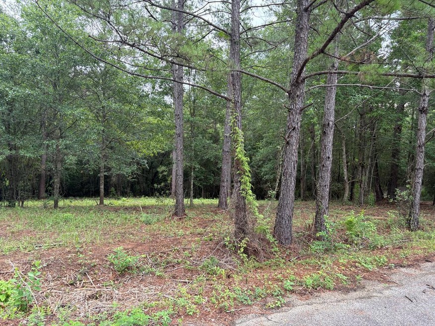 13 Pocahontas Ln, Carriere, MS 39426 - photo 1