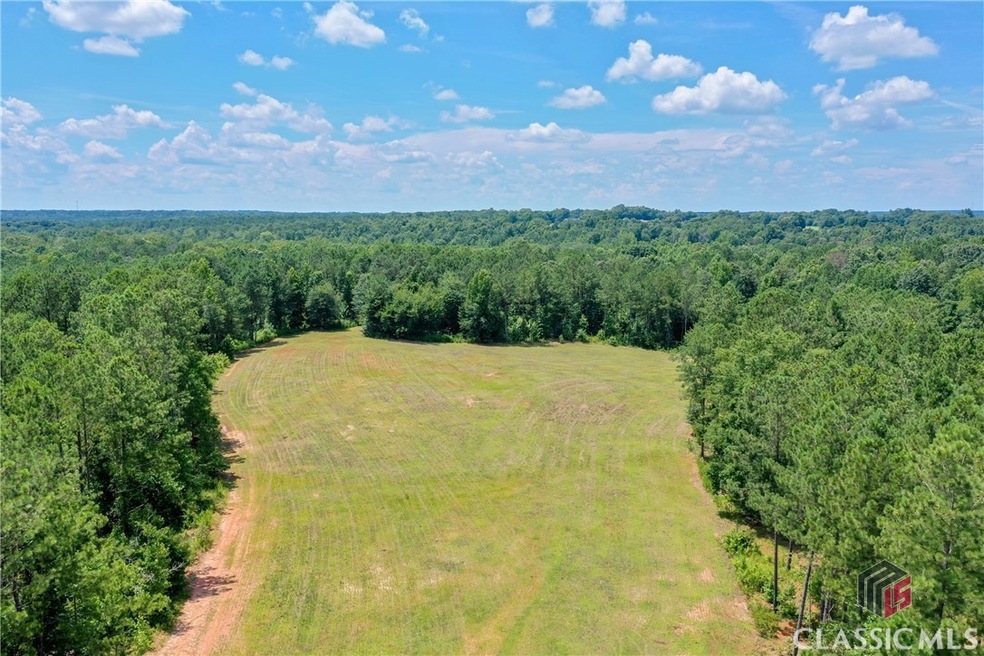 0 Piney Grove Rd Unit 1011992, Comer, GA 30629 MLS 1011992