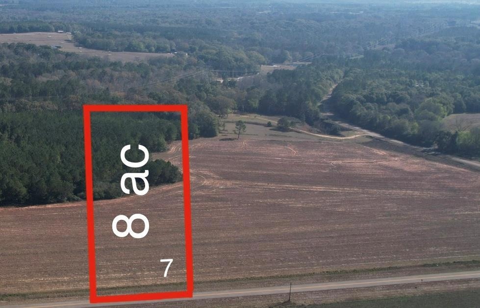 Lot 7 County Road 238, Headland, AL 36345 - photo 1