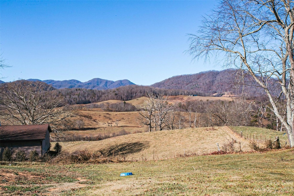 TBD Old Newfound Rd, Leicester, NC 28748 - photo 1