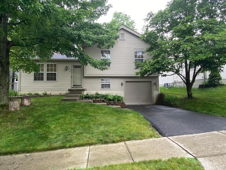3523 Frenchpark circle