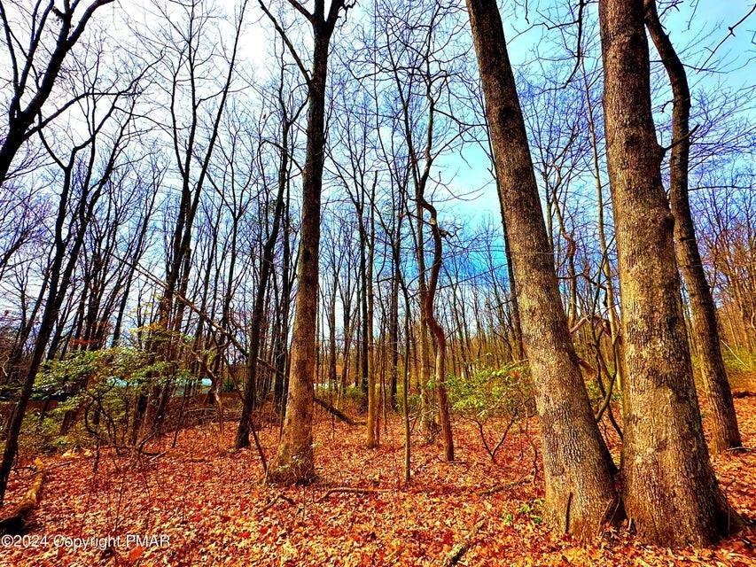 327 Maple Rd, Effort, PA 18330 - photo 1