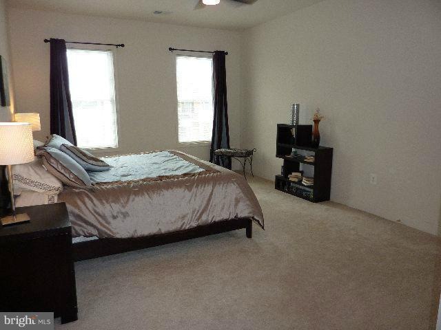 42108 Porch Light Dr, Aldie, VA 20105 - photo 1